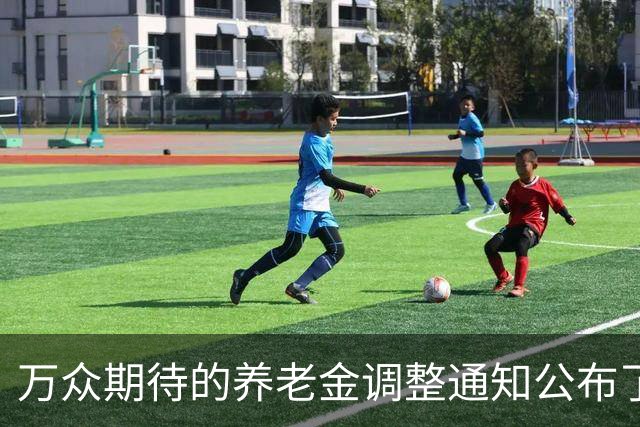 万众期待的养老金调整通知公布了吗？涨2.2%很难吗？